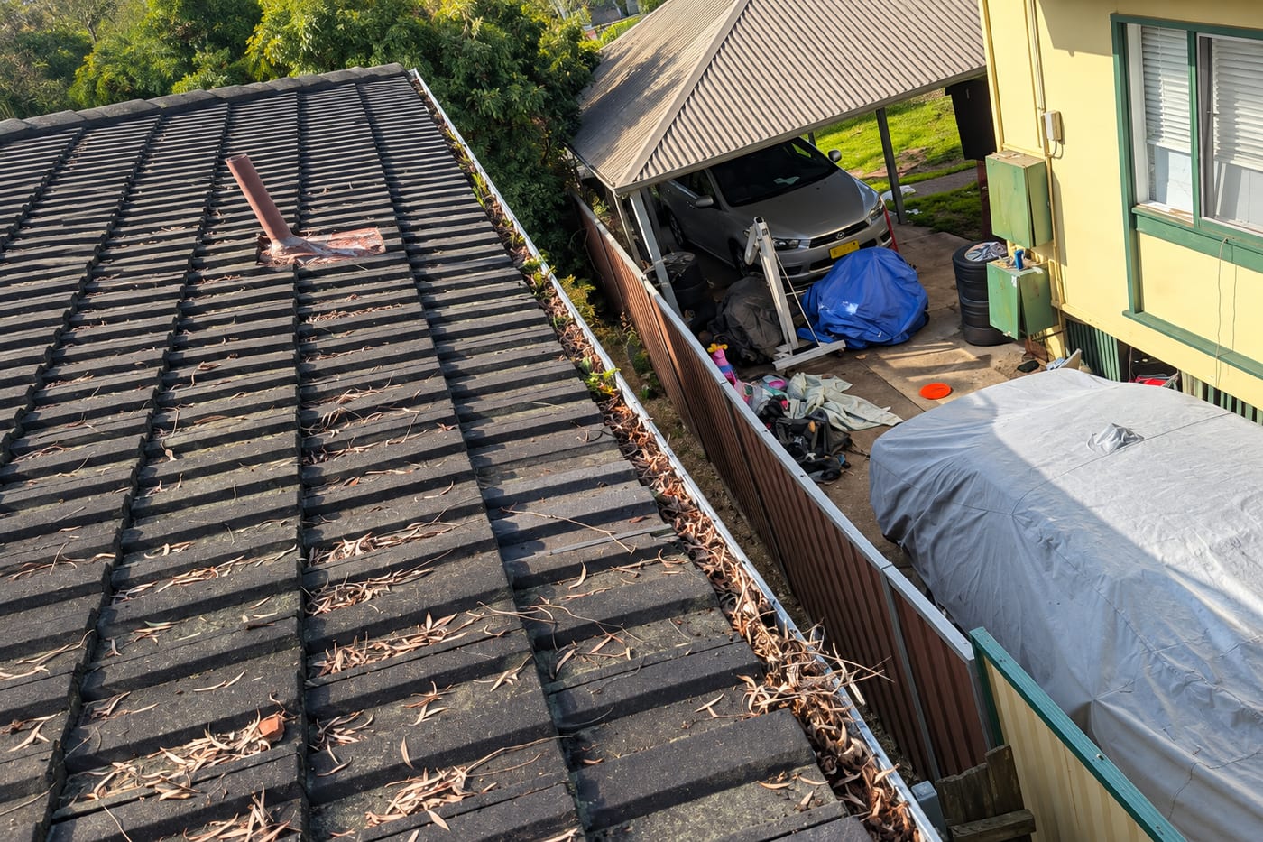 Roof and gutter before cleaning